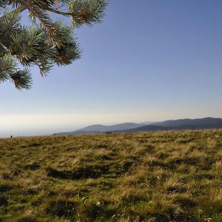 Ana'chronique ゲストハウス Marat