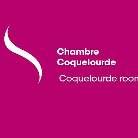 ゲストハウス Ana'chronique