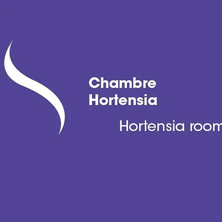 ゲストハウス Ana'chronique Marat